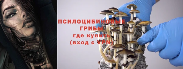 круглые Алзамай