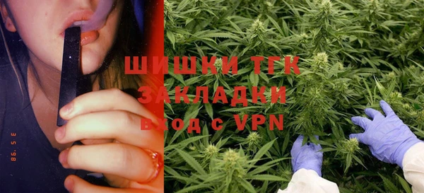 круглые Алзамай