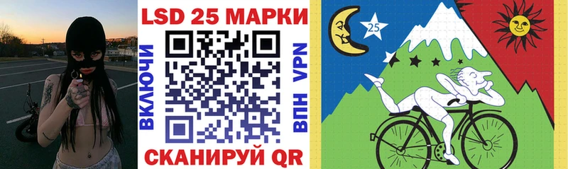 купить   Жердевка  даркнет Telegram  Марки N-bome 1,8мг 