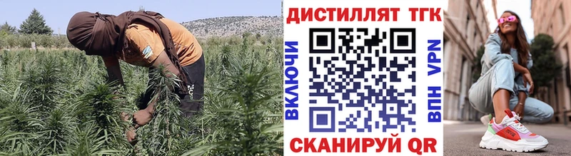 ТГК концентрат  Жердевка 